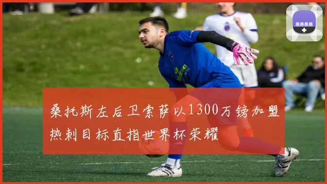 桑托斯左后卫索萨以1300万镑加盟热刺目标直指世界杯荣耀