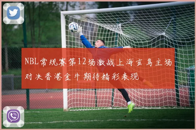 NBL常规赛第12场激战上海玄鸟主场对决香港金牛期待精彩表现
